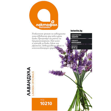 LAVENDER SEEDS LACTOFOL BOTANIC - Семена<<<Семена луковици и разсад<<<Градина<<<Praktiker