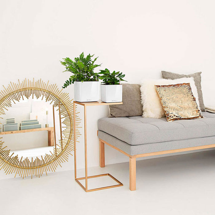 POT 14X14CM WITH IRRIGATION SYSTEM LECHUZA CUBE GLOSSY