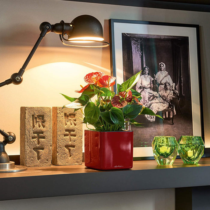 POT 14X14CM WITH IRRIGATION SYSTEM LECHUZA CUBE GLOSSY