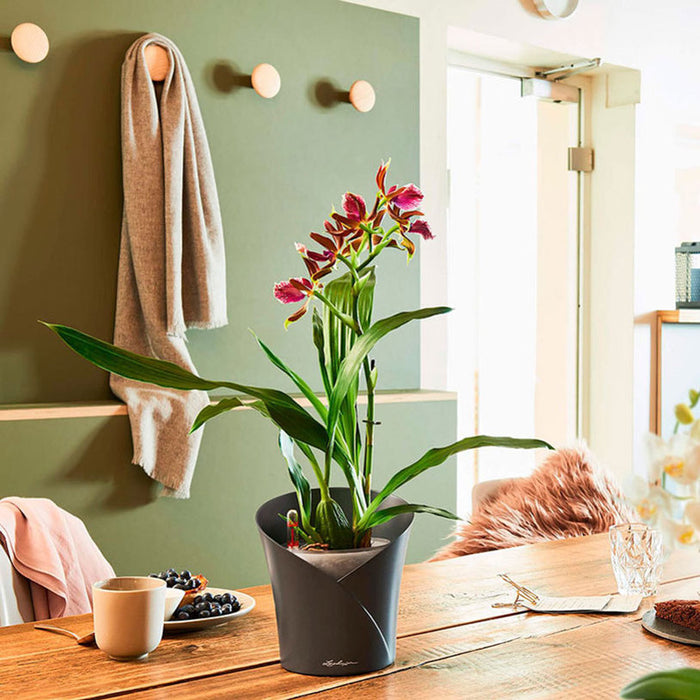 POT F18CM WITH IRRIGATION SYSTEM LECHUZA ORCHIDEA