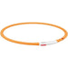 LED Collar for Pets Trixie Orange One size - Домашни Животни<<<Дом Градина<<<BigBuy&&&Пътуване и разходки<<<Домашни