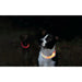 LED Collar for Pets Trixie Orange XS/S - Домашни Животни<<<Дом Градина<<<BigBuy&&&Пътуване и разходки<<<Домашни