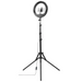 LED Lamp ’SpotLight Steady 120 II’ HAMA-04659 - Селфи стикове<<<Фото и видео аксесоари<<<ValiAPI