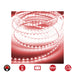 LED strips EDM 72704 Red 4,2 W x 1 m 50 m 350 lm - Декорация и Осветление<<<Дом Градина<<<BigBuy&&&LED