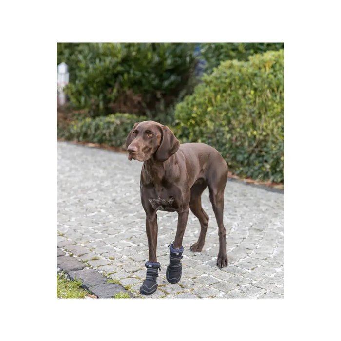 Leg protection walker Trixie Black S/M - Домашни Животни<<<Дом Градина<<<BigBuy&&&Пътуване и разходки<<<Домашни