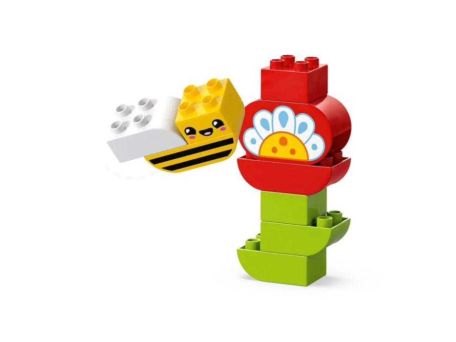LEGO DUPLO 10444 Creative Garden and Flowers