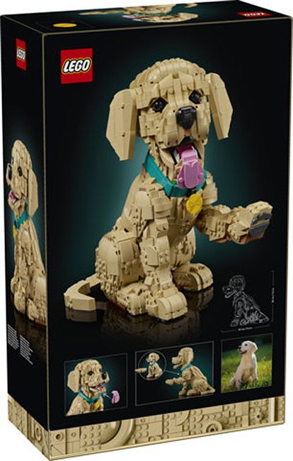 LEGO ICONS 11384 Golden Retriever Puppy