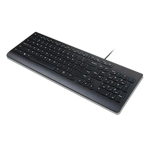 Lenovo Essential keyboard Universal USB QWERTY US English Black - KeyboardsPER-KLA<<<Input / Output
