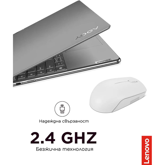 Wireless Mouse LENOVO 300 Arctic Grey GY51L15678 Wireless Compact Mouse