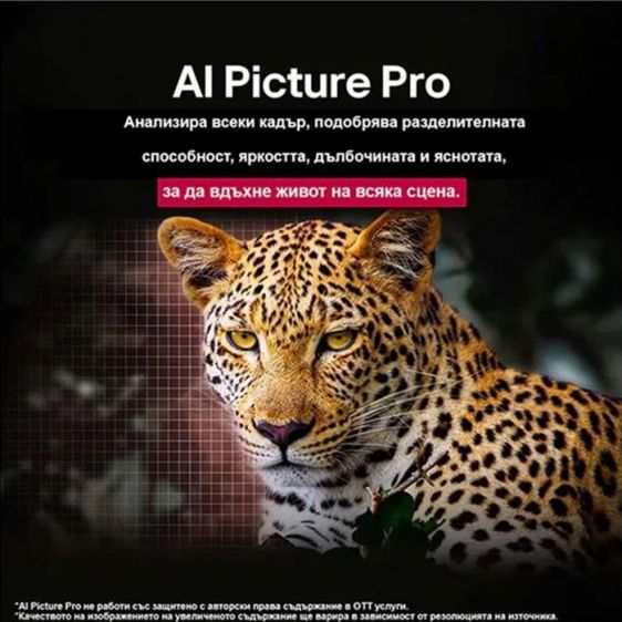 TV LG OLED77C52LA, 77"(195 cm), OLED evo AI C5, 4K Ultra HD, Smart TV (2025)