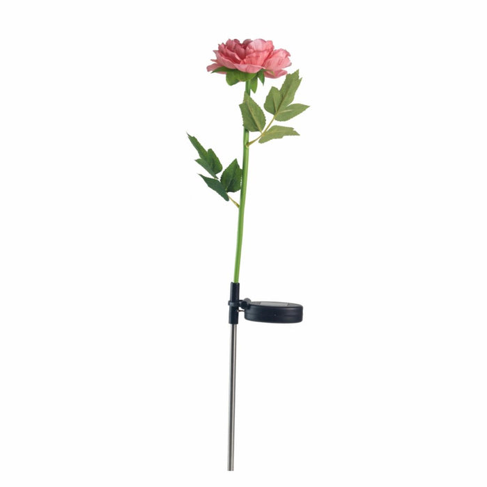 LED SOLARPEONY PINK LIGHTEX