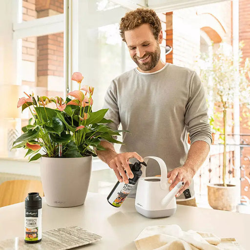 LIQUID FERTILIZER FOR FLOWERING PLANTS 0.475L LECHUZA - Торове<<<Торове почви и тревни смески<<<Градина<<<Praktiker