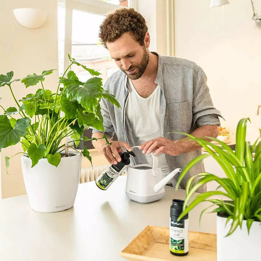 LIQUID FERTILIZER FOR GREEN PLANTS 0.475L LECHUZA - Торове<<<Торове почви и тревни смески<<<Градина<<<Praktiker