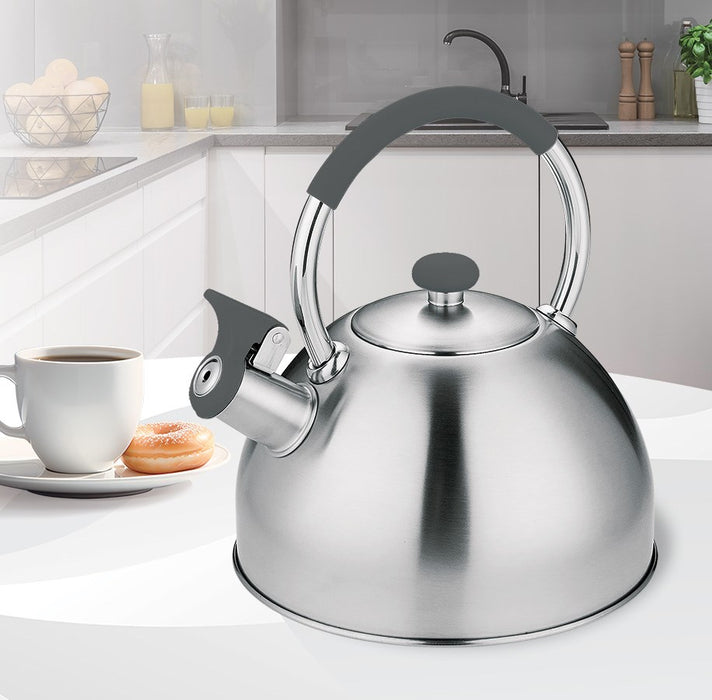 Kettle MAESTRO MR-1323 stainless steel 2.5 l