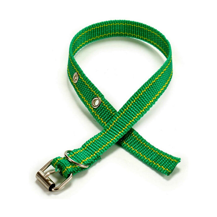 Dog collar Mascow 0,3 x 42 x 2 cm (12 Units)