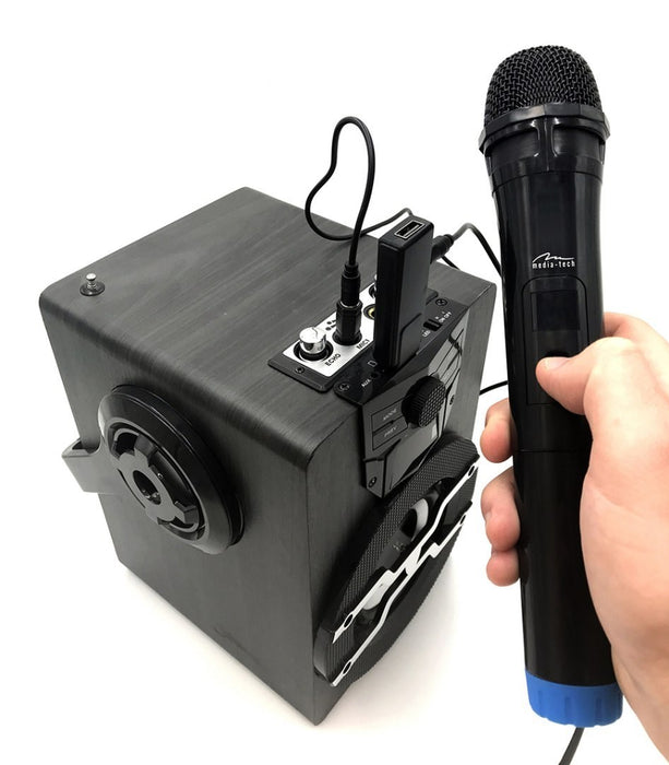 Wireless karaoke microphones ACCENT PRO MT395