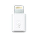 Micro USB to Lightning Adapter Apple MD820ZM/A - Компютър Кабели и адаптери<<<Компютри| Електроника<<<BigBuy&&&USB