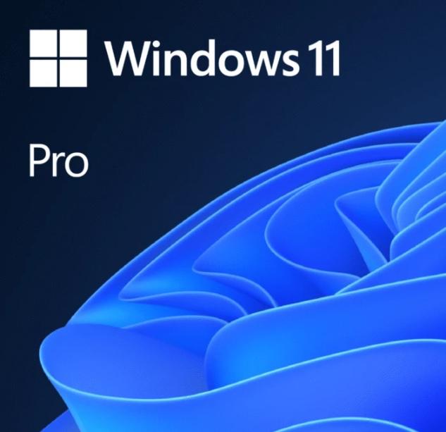 Software Microsoft Windows 11 Pro x64 English OEM