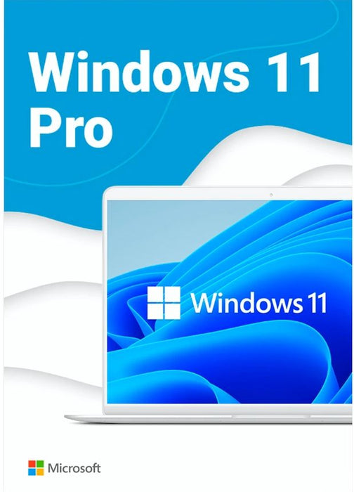 Software MS Windows Pro FPP 11 64-bit Eng Intl