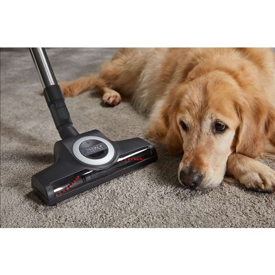Vacuum cleaner MIELE Blizzard CX1 Cat & Dog - SKCF5