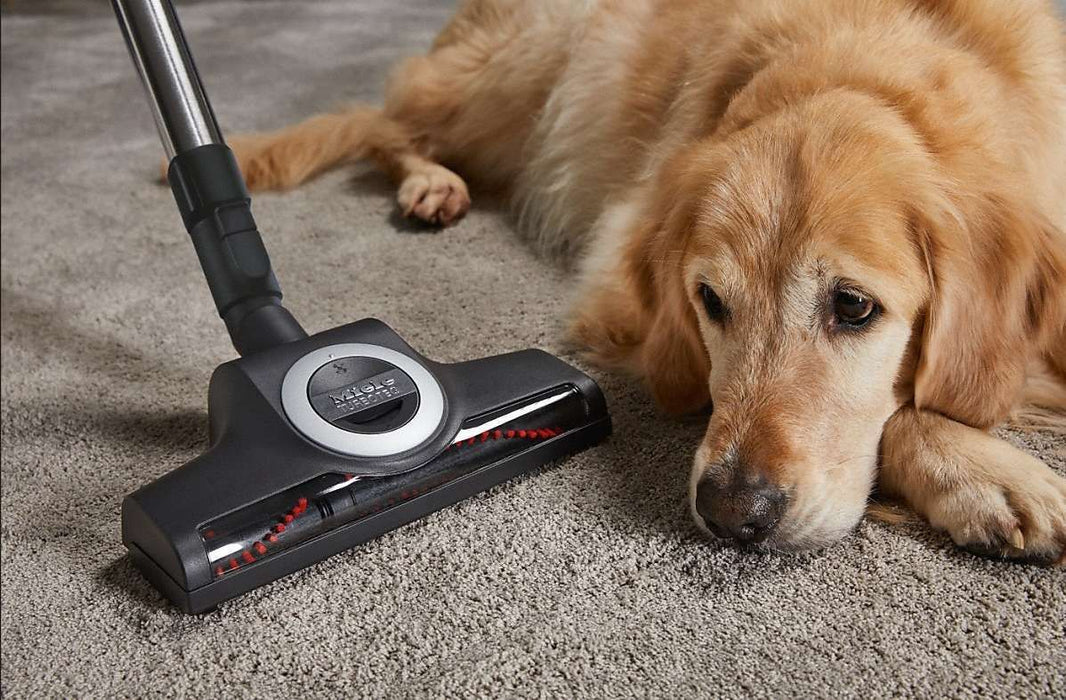 Vacuum cleaner MIELE Blizzard CX1 Cat & Dog - SKCF5