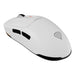 Mouse Genesis Zircon 660 White - Електроника Периферни и резервни части<<<Компютри| Електроника<<<BigBuy&&&Мишки &