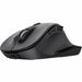 Mouse Trust 25708 Black 2400 dpi - Електроника Периферни и резервни части<<<Компютри| Електроника<<<BigBuy&&&Мишки &