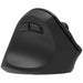 Mouse Yenkee YMS 5060L Black - Електроника Периферни и резервни части<<<Компютри| Електроника<<<BigBuy&&&Мишки &