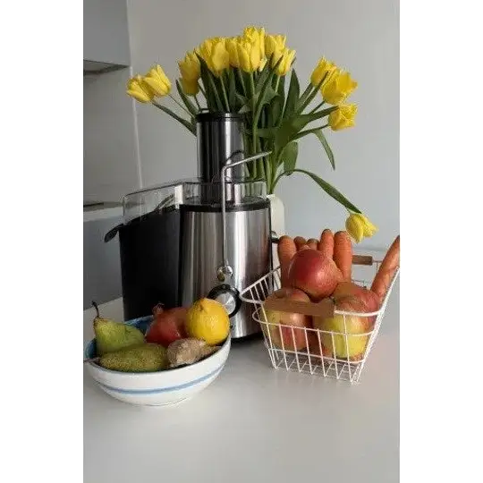 MPM MSO-18-M Juicer 1000 W Black Silver - JuicersAGD-SOK<<<Home Appliance - ProductsAGD<<<ActionPL