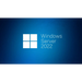 MS DSP Windows Server Standard 2022 64Bit English 1pk DSP DVD 24 Core (GB) - Сървърен софтуер<<<Сървърен софтуер и