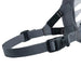 Muzzle Company of Animals Transparent 4 - Домашни Животни<<<Дом Градина<<<BigBuy&&&Пътуване и разходки<<<Домашни
