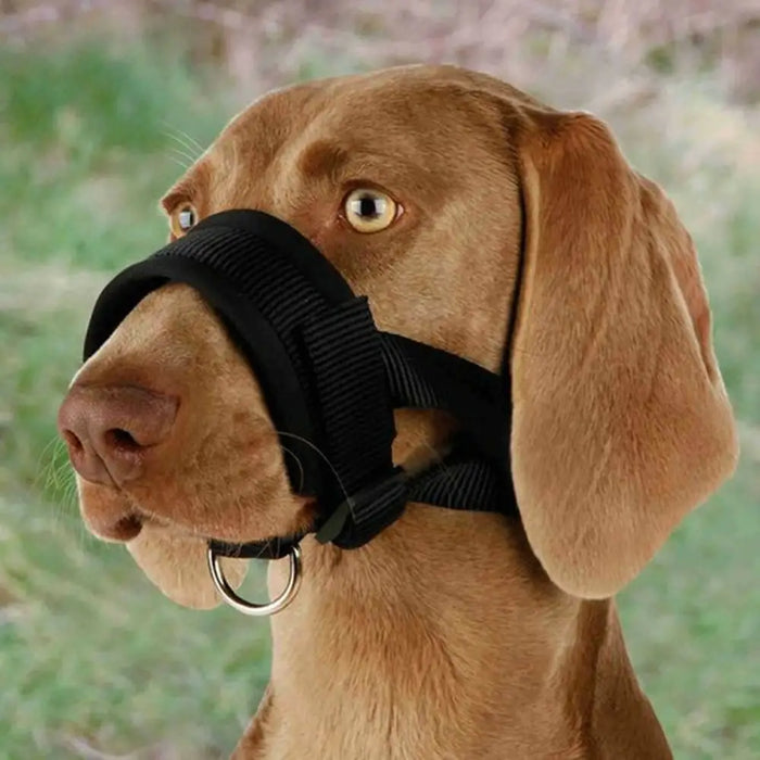 Muzzle Trixie Black L - Домашни Животни<<<Дом Градина<<<BigBuy&&&Пътуване и разходки<<<Домашни Животни<<<Дом