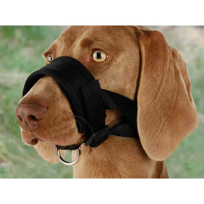 Muzzle Trixie Black L - Домашни Животни<<<Дом Градина<<<BigBuy&&&Пътуване и разходки<<<Домашни Животни<<<Дом