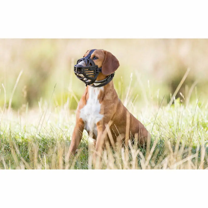 Muzzle Trixie Flex Black S - Домашни Животни<<<Дом Градина<<<BigBuy&&&Пътуване и разходки<<<Домашни Животни<<<Дом