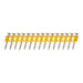 NAILS FOR TAKER 2.6X25 MM DEWALT DCN8901025 1005 PCS - Скоби и пирони за такери<<<Консумативи за