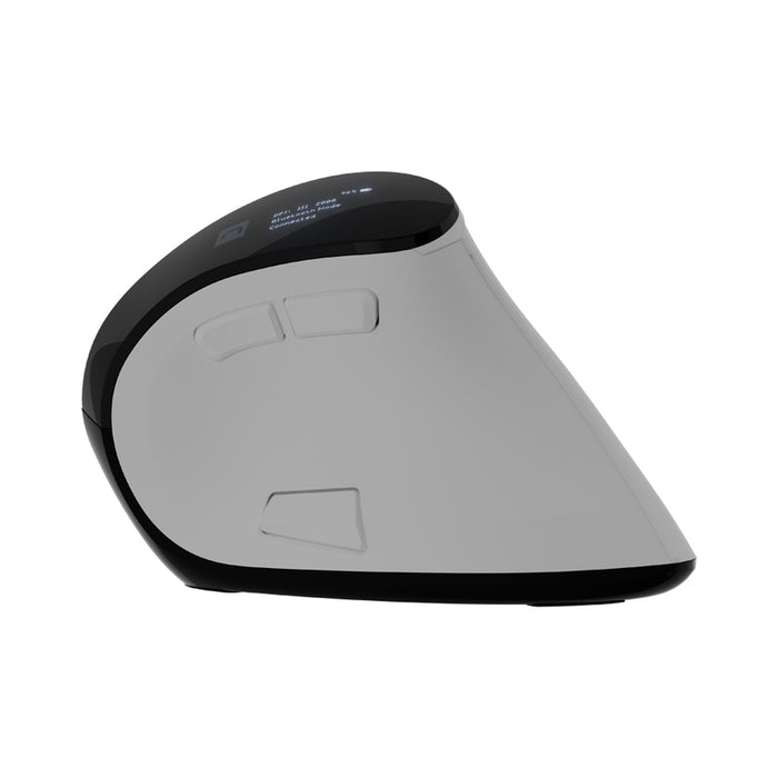 Natec Euphonie Vertical Mouse PRO Wireless  BT 5.0, 4000DPI Silent, Programmable, White