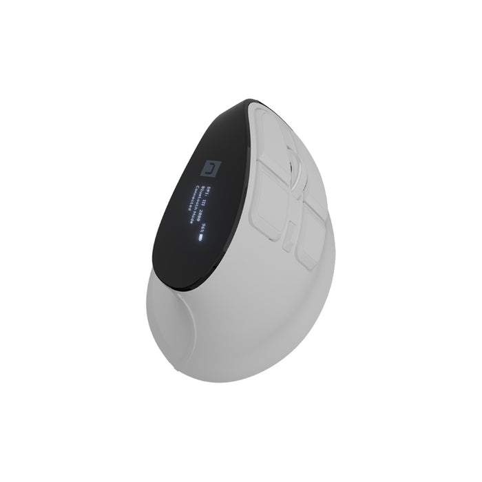 Natec Euphonie Vertical Mouse PRO Wireless  BT 5.0, 4000DPI Silent, Programmable, White