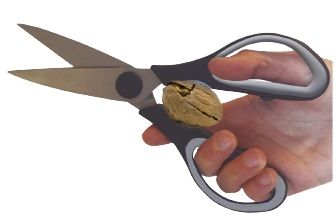 VIN BOUQUET KITCHEN SCISSORS