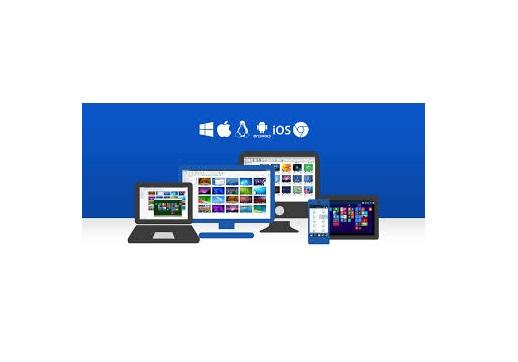 Software Netsupport Manager V.12.5 - for remote access and management of computers - package of 25 pcs. the license