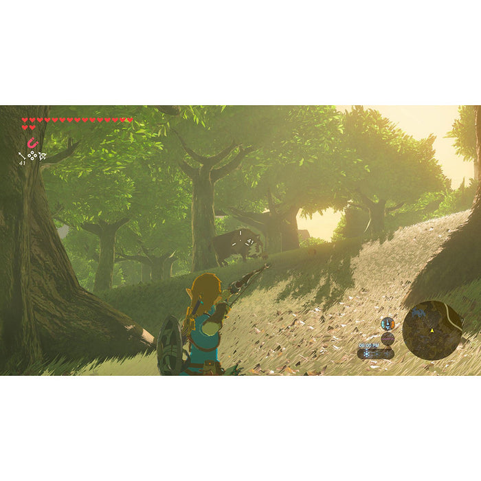 Game The Legend of Zelda: Breath of the Wild (NSW2)