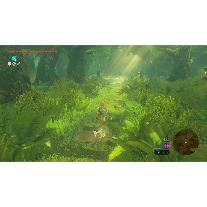 Game The Legend of Zelda: Breath of the Wild (NSW2)