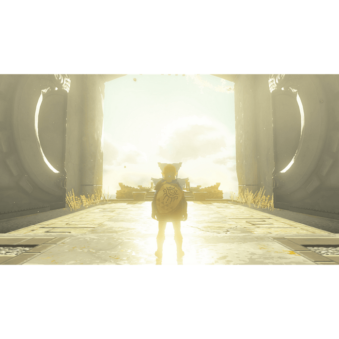 The Legend of Zelda: Tears of the Kingdom Game (NSW)