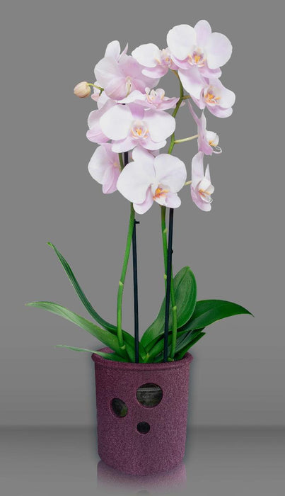 CYLINDER POT ORCHID 13.5 CM VIOLET