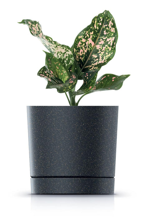 POT TUBO P 13CM ANTHRACITE
