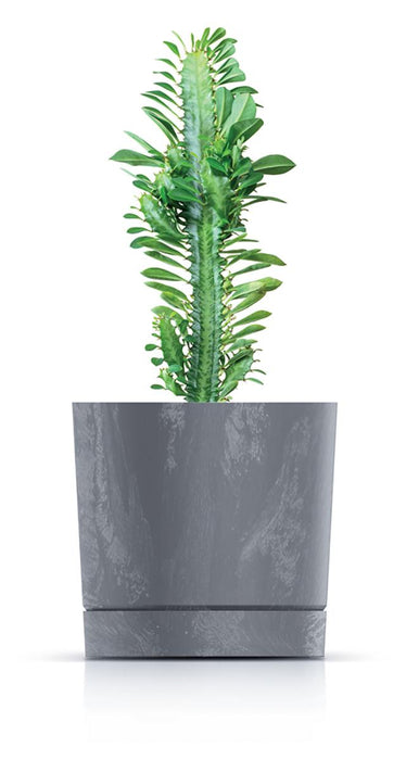 POT TUBO P CONCRETE EFFECT 24CM GRAY