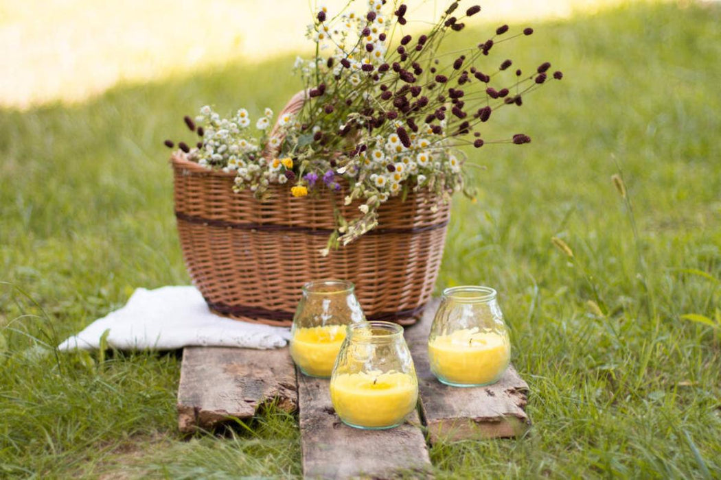 MOSQUITO REpellent CANDLE - CITRONELLA F9.7/10.5