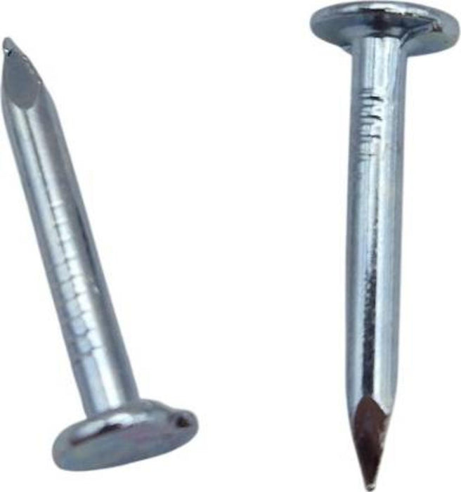 ROOFING NAILS 3.0X20 2.0KG