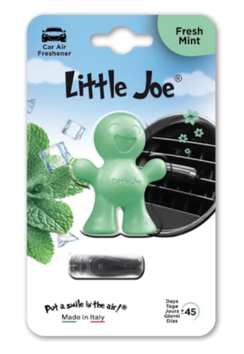 FLAVOR LITTLE FRESH MINT
