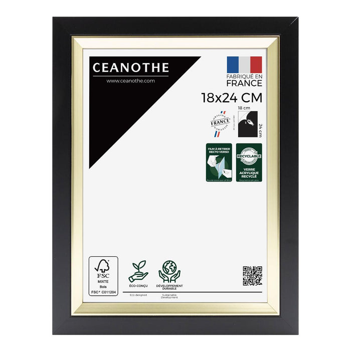FRAME 18X24 ACTUAL BLACK GOLD