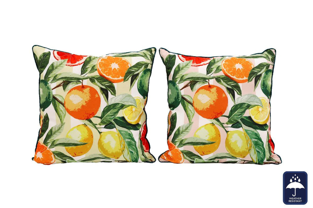 DECORATIVE PILLOW 45X45CM CITRUS